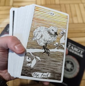 The Wild Unknown Tarot boxset